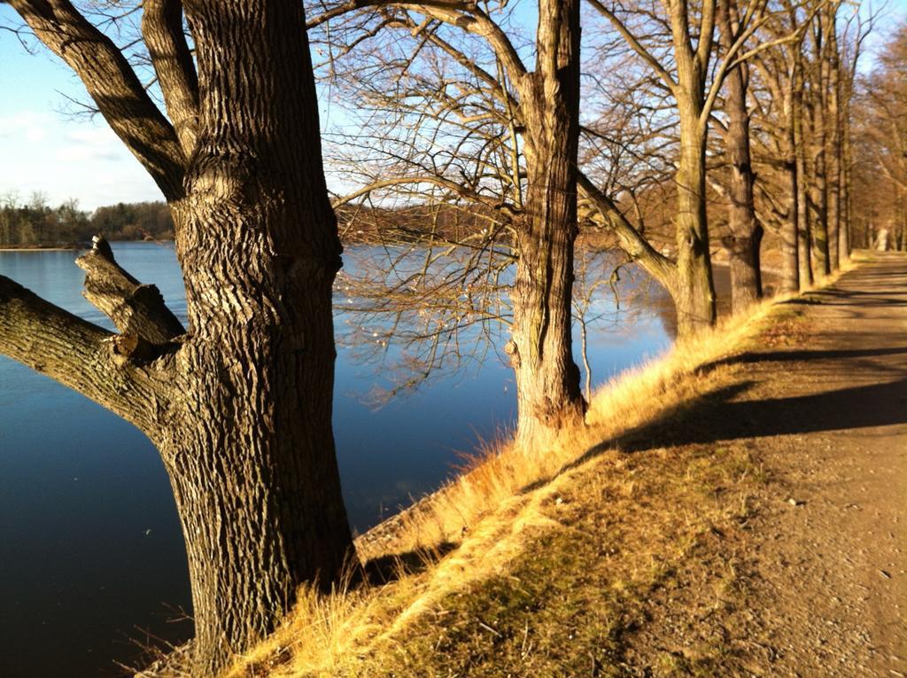 Apartmán Apartmán Sportovní Třeboň Exteriér fotografie